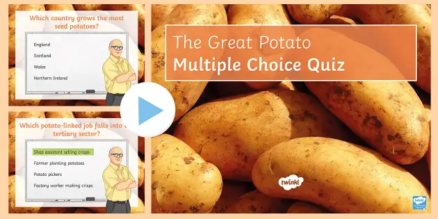 PowerPoint　Twinkl　The　(teacher　Great　Potato　Quiz　made)