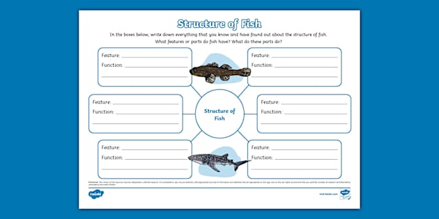 Structure of Fish Mind Map - Twinkl