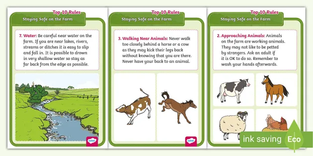 Staying Safe on the Farm Top 10 Rules Posters (teacher made)