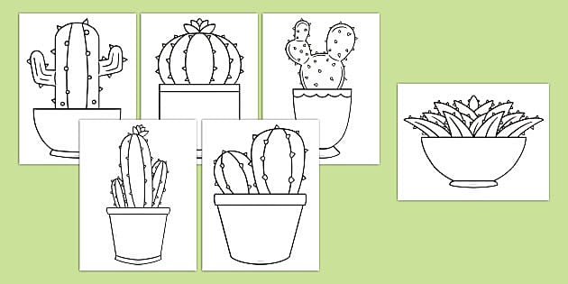 Cactus Templates (teacher made) - Twinkl