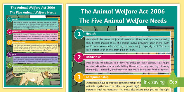 The Five Animal Welfare Needs (The Animal Welfare Act 2006) A4 Display  Poster