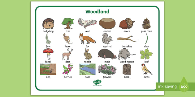 Woodland Words