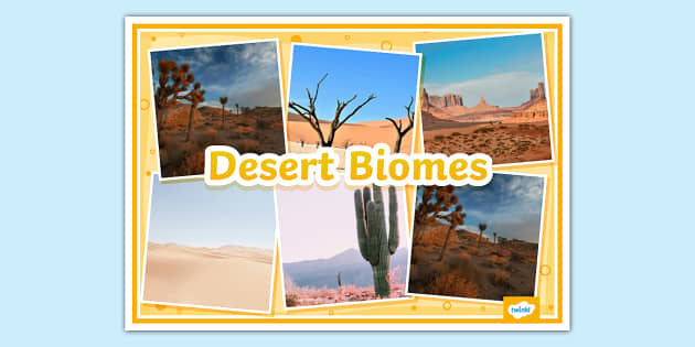 Desert Biomes Photo Display Poster (teacher made) - Twinkl