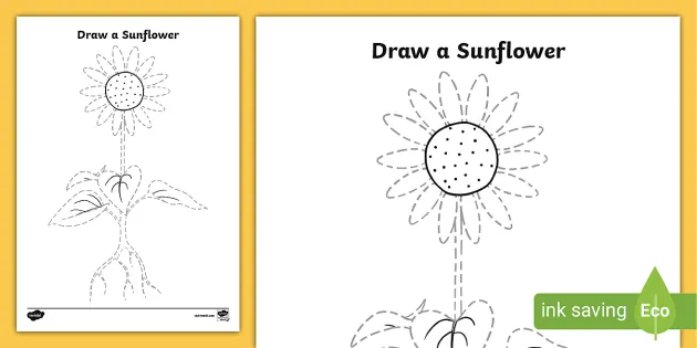Premium Vector | Sunflower coloring page for kids and line art design