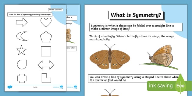 What Is Symmetry Activity Sheet (teacher Made) - Twinkl