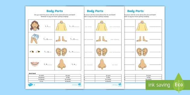 french my body parts worksheet teacher made