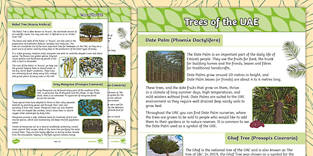 Fact File - Trees - UAE Plants (l'enseignant a fait)