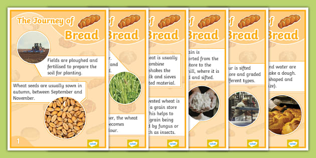 The Journey of Bread Display Posters - KS2 - Twinkl