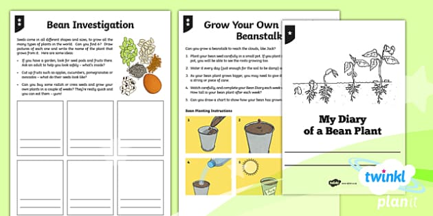 plants jack and the beanstalk y3 home learning tasks