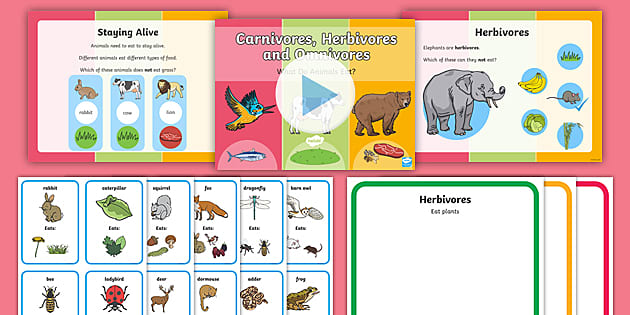 Herbivores, Carnivores and Omnivores Lesson Pack - Twinkl