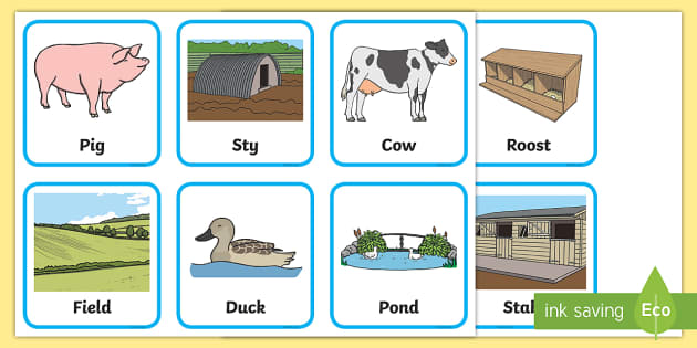 Farm Animals And Their Homes | Primary Resources - Twinkl