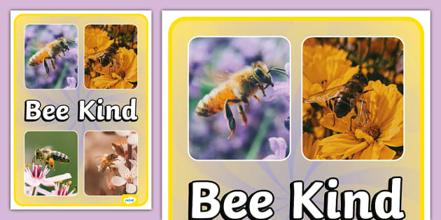 Bee Kind Photo Display Poster (Teacher-Made) - Twinkl