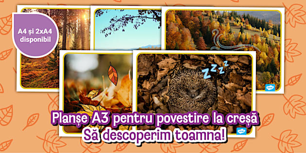 Să descoperim toamna! – Planșe A3 pentru expunerea poveștii