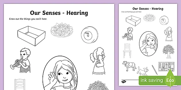 My Senses Colouring Pages Teacher Made