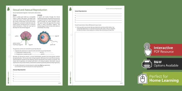 sexual and asexual reproduction gcse biology beyond