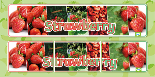 Strawberry Photo Display Banner (teacher made) - Twinkl