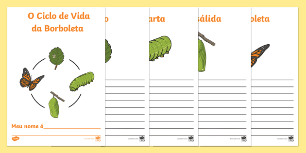 O Ciclo De Vida Da Borboleta Professor Feito Twinkl