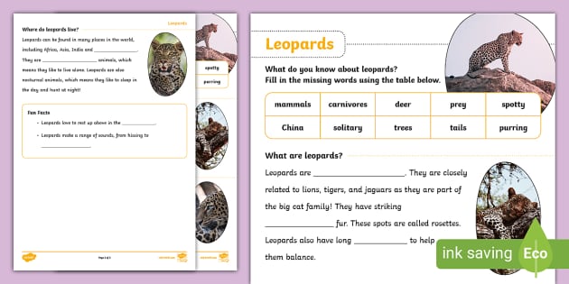 leopards-cloze-worksheet-teacher-made-twinkl