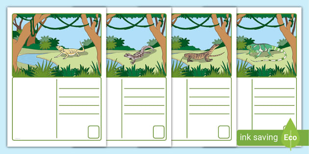 FREE! - Lizard Themed Postcards (teacher made) - Twinkl