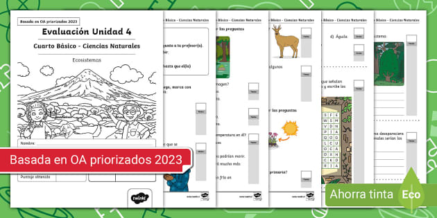 Prueba 4º Básico: Unidad 4 De Ciencias Naturales - Twinkl