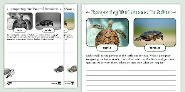 Comparing Turtles and Tortoises Worksheet (teacher made)