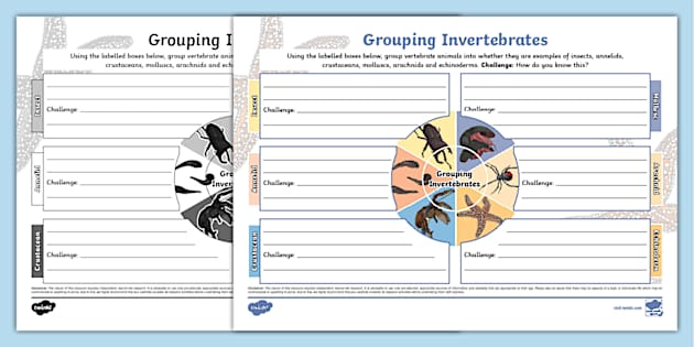 Grouping Invertebrates Mind Map (teacher made) - Twinkl