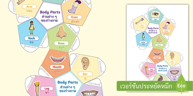 สื่อลูกบอลส่วนต่าง ๆ ของร่างกายภาษาอังกฤษ - สื่อการสอนทำมือ