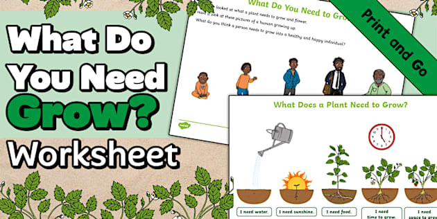 What Do You Need To Grow What Do You Need To Grow