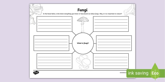 * NEW * Fungi Mind Map (teacher made)