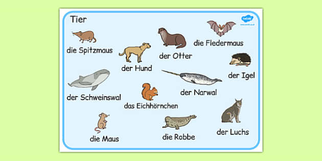 german-animals-word-mat-teacher-made-twinkl