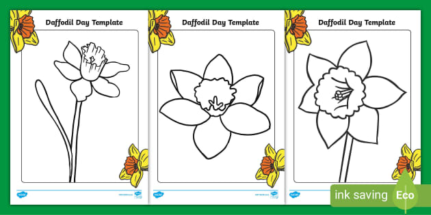 daffodil template