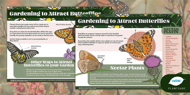 Gardening To Attract Butterflies Spring Garden Flowers Gardening To Attract Butterflies Spring Garden Flowers