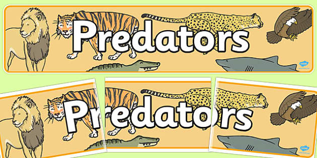 Predator Animals Display Banner - Primary Resources - Twinkl