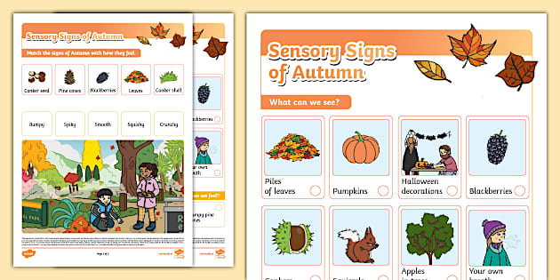 Sensory Signs of Autumn Activity Sheet (teacher made)