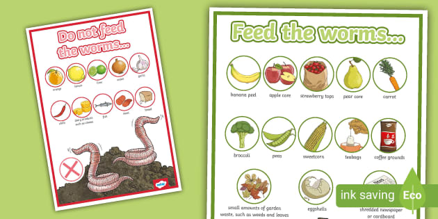 What to Feed Worms in a Worm Farm Display Posters Ι Twinkl