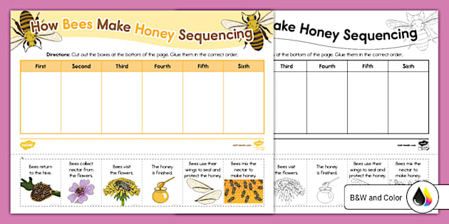 Kindergarten How Bees Make Honey Sequencing Activity