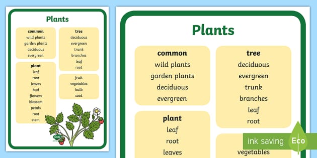 year 1 plants homework