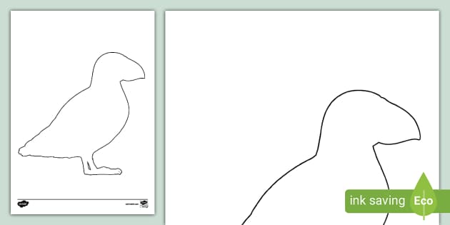 Bird Line Drawing png download - 2400*2400 - Free Transparent Black And  White png Download. - CleanPNG / KissPNG