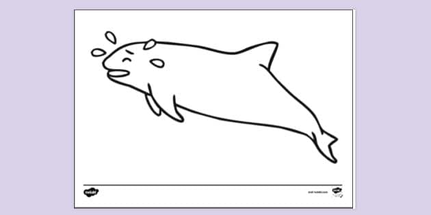 all webkinz coloring pages