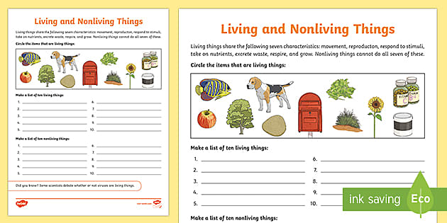 Living and Nonliving Things Worksheets | Twinkl - Twinkl