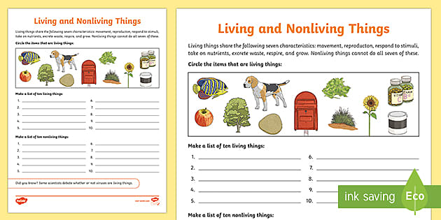 Living and Nonliving Things Worksheets