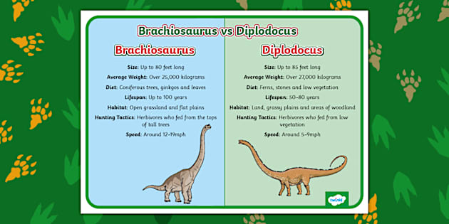 diplodocus ライター コレクション