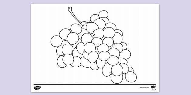 FREE! - Grapes Colouring Sheet | Colouring Sheets | Primary Twinkl