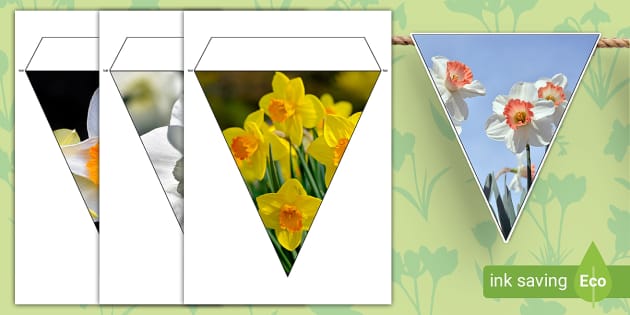 Daffodil Photo Display Bunting - Twinkl - KS1 (Teacher-Made)