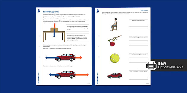 Force Diagrams Homework Worksheet (teacher made) - Twinkl