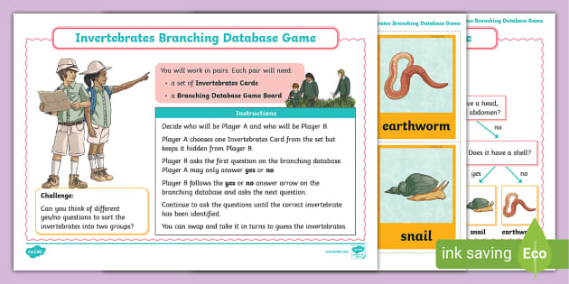 Invertebrates Branching Database Game - Computing - Twinkl