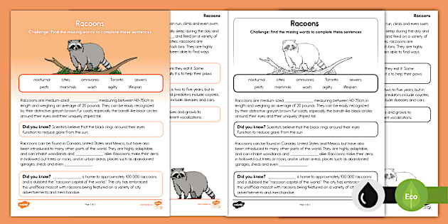 All About Raccoons Cloze Activity (teacher made) - Twinkl