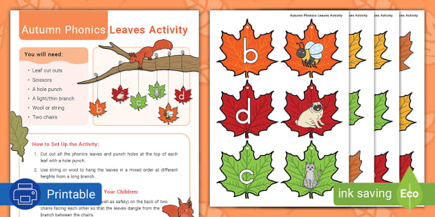 Autumn Flashcards  Twinkl Teacher-Made Learning Resources