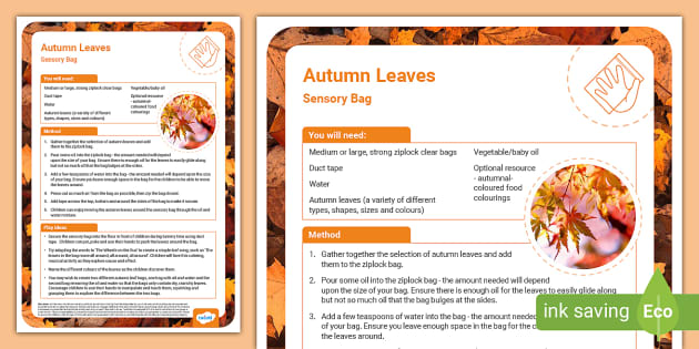https://images.twinkl.co.uk/tw1n/image/private/t_630_eco/image_repo/3e/5d/t-t-23739-autumn-leaves-sensory-bag_ver_4.jpg