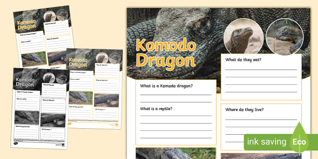 Komodo Dragon Fact File Template (teacher made) - Twinkl